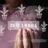 ISO 14001:2015 Çevre Yönetim Sistemi Eğitimi ve Sertifikası